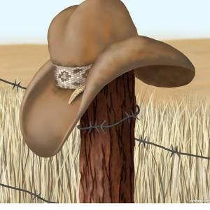 Meet your Posher, Wanda